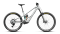 Orbea WILD LT M20 Smooth Silver (Matt) - Escape Green C. View (Gloss) (2027)