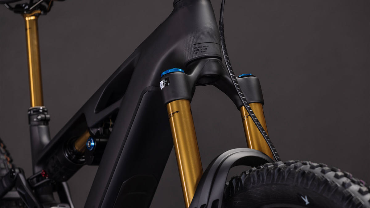 Cube Stereo Hybrid ONE77 HPC AT 800  carbon´n´gold (2026)