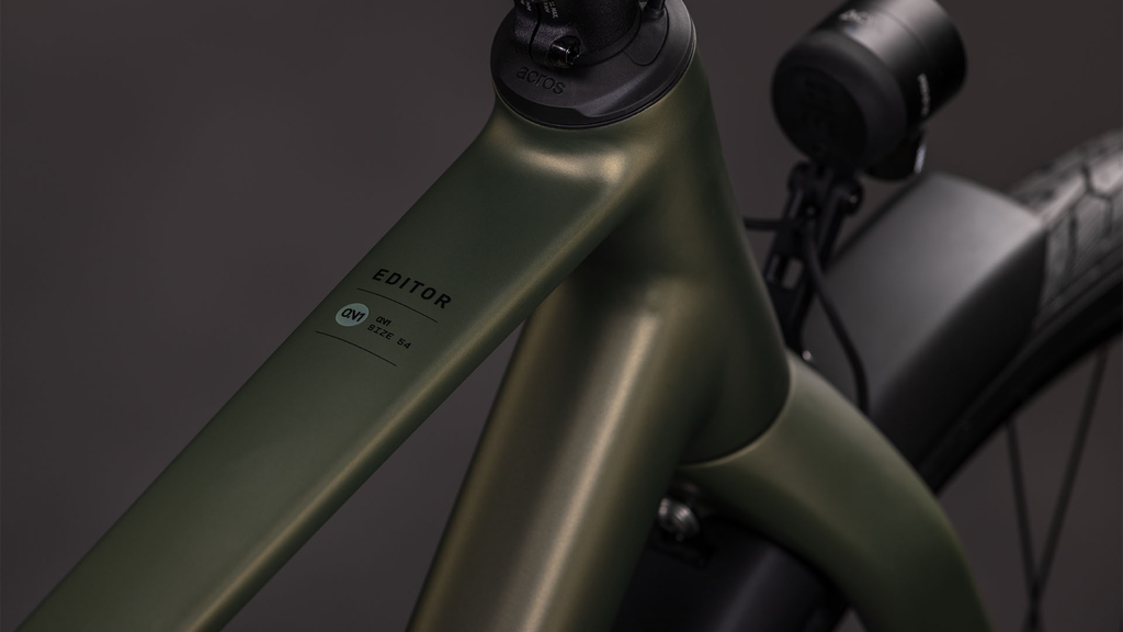 Cube Editor ONE FE Diamant reedgreen´n´black (2026)