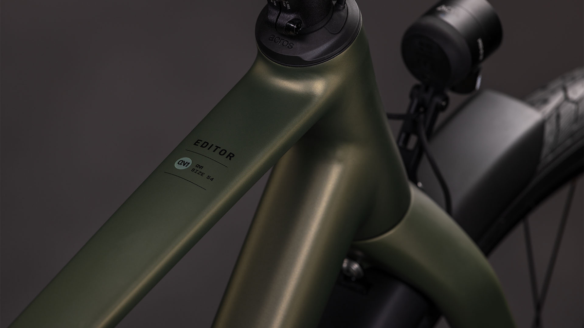 Cube Editor ONE FE Diamant reedgreen´n´black (2026)