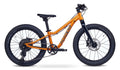 Academy Trail 4 R 20 Zoll Mountainbike  Amber (2027)