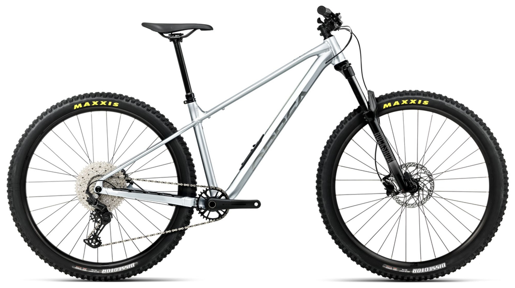 Orbea LAUFEY H30 Smooth Silver (Matt) - Titanium (Gloss) (2026)