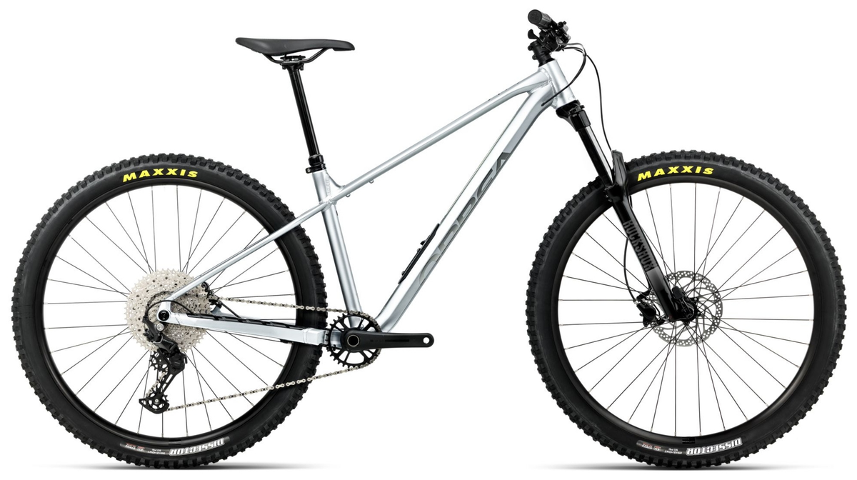 Orbea LAUFEY H30 Smooth Silver (Matt) - Titanium (Gloss) (2026)
