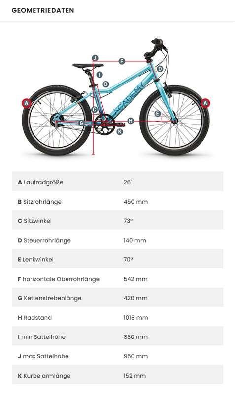ACADEMY Grade 6 Belt Kinderfahrrad