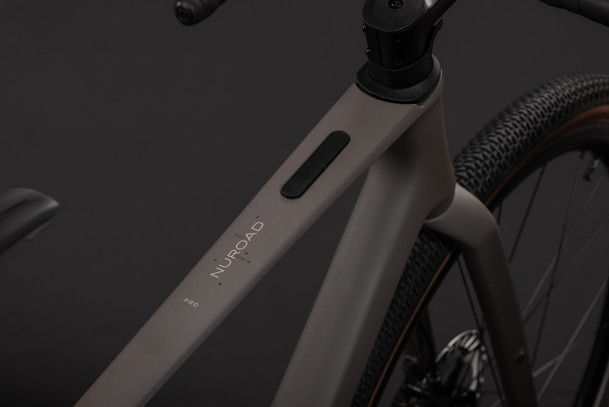 Cube Nuroad C:62 Pro cedar´n´stone (2027)