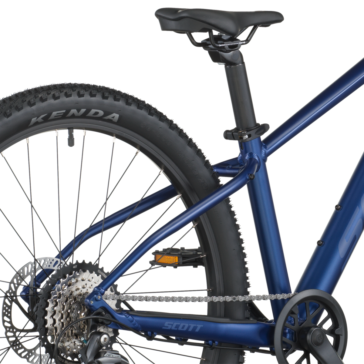 Scott Scale 600 clematis blue (2026)
