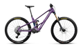 Orbea WILD LT M10 Royal Plum-Noctiluca C.View (Gloss) (2027)