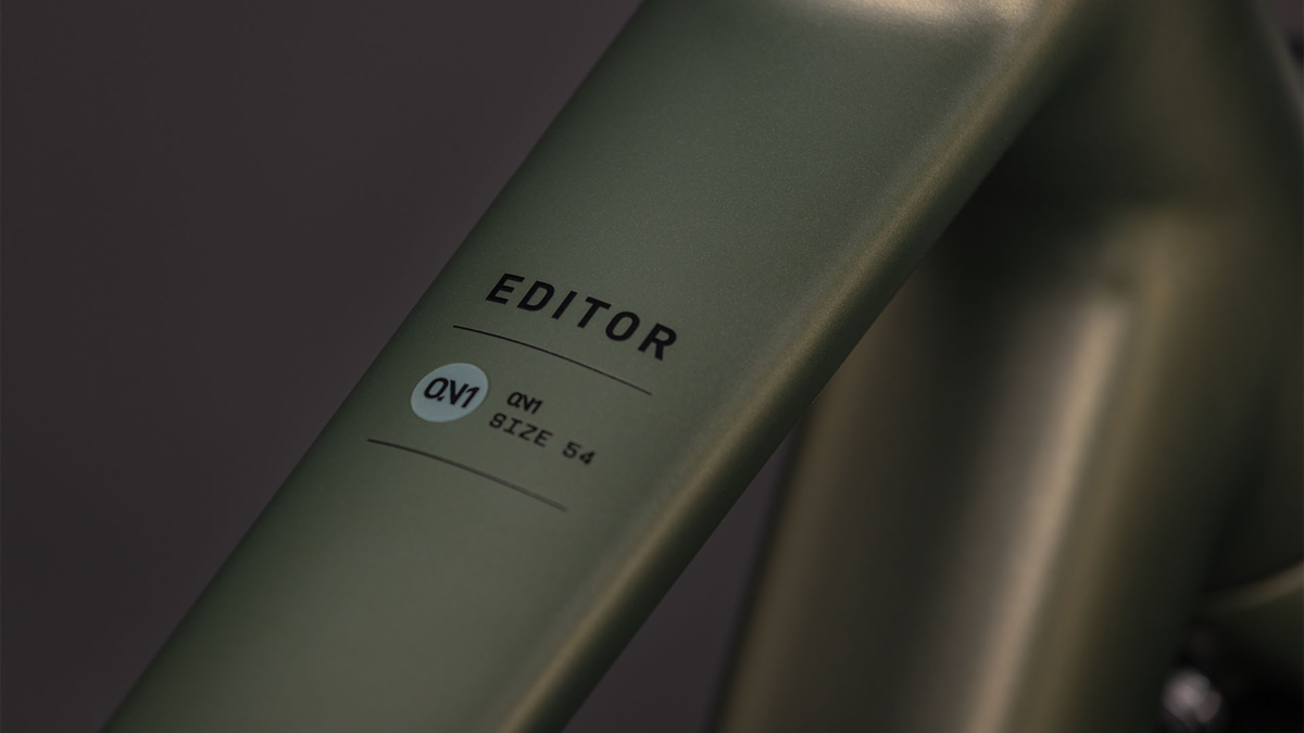 Cube Editor ONE FE Diamant reedgreen´n´black (2026)